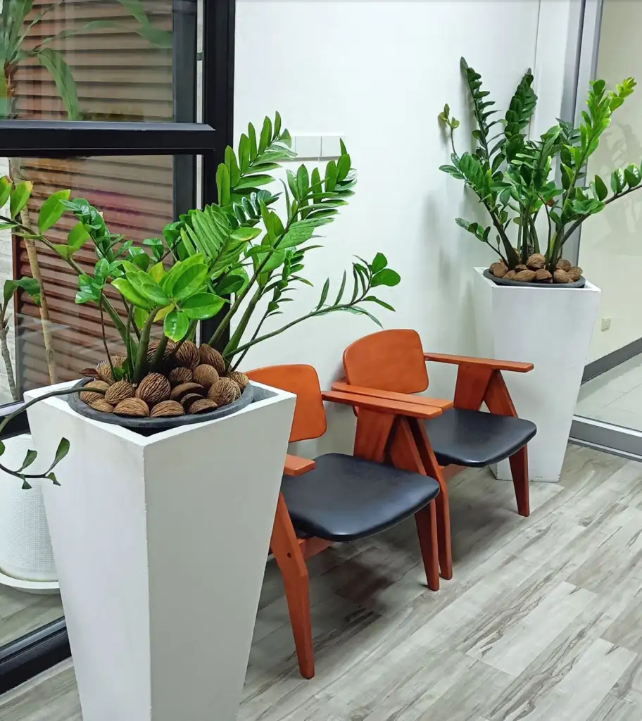 เริ่มต้นเปลี่ยนบ้านของคุณให้เป็นงานศิลปะ